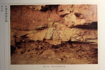 156440781 272720204431055 7186339870499004952 n