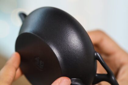 197356348 5581676181904368 7462294040962175534 n edited