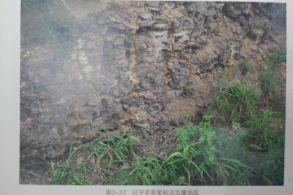 240453857 384998789869862 4919971677407099294 n