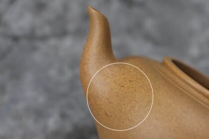 241558881 422141346155606 7338098306739263946 n