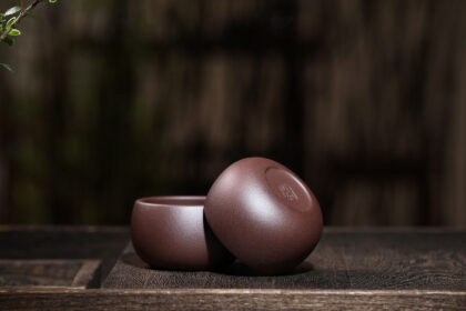 241576454 6107905715948076 2232595570892899348 n