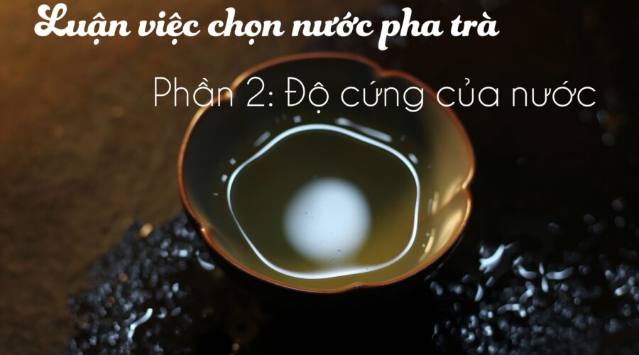 280644334 551483993221340 182087131200188133 n