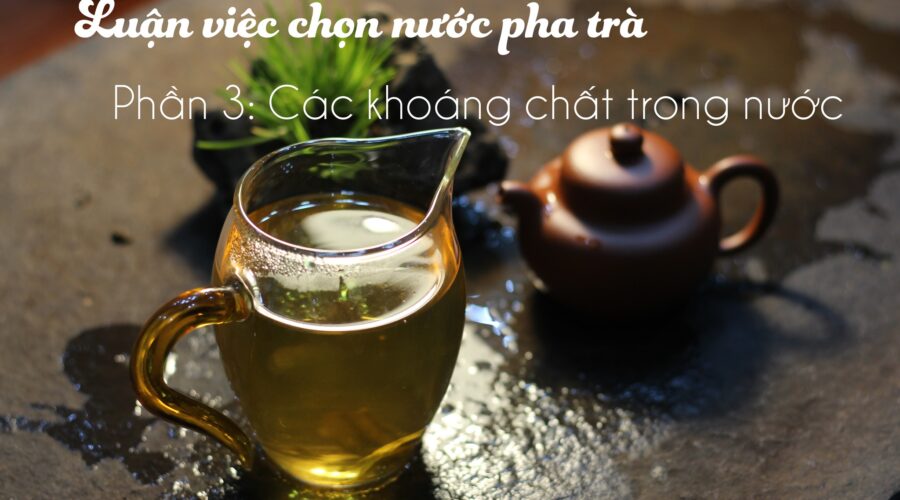 Luận việc chọn nước pha trà - Phần 3 291861266 584629393240133 6165269637326093446 n