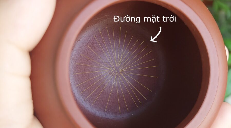 Minh Châm và đường mặt trời có phải là một? 369810926 1050993422955123 7754959764001788221 n