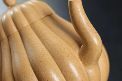 391641200 740652404743444 314804808163255731 n