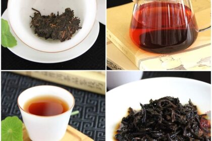 415500611 785755553566462 5121699309606195297 n