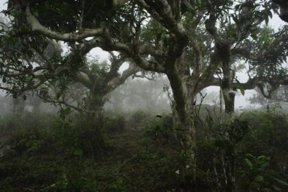 z3288667914284 0c18efb404b118e51871aedcbee7058d