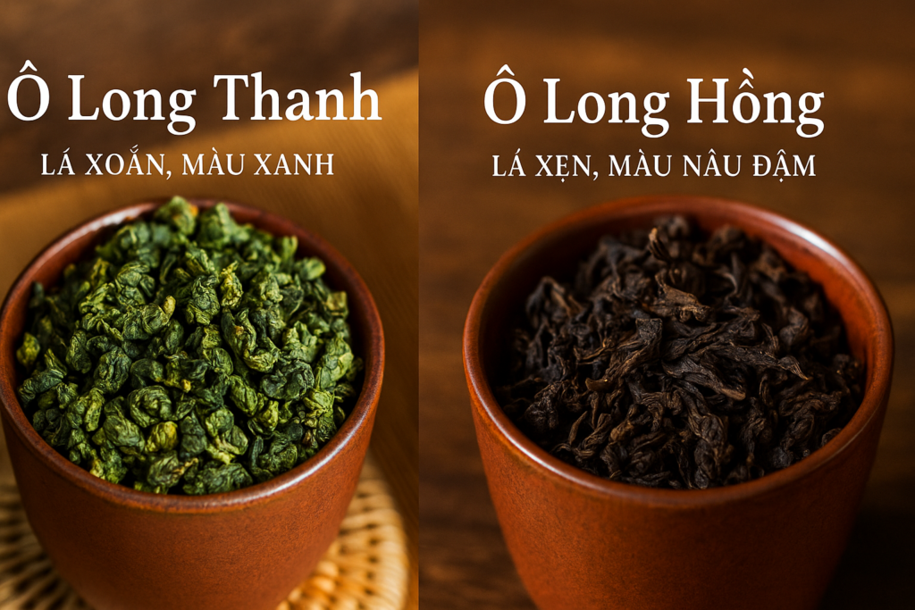 PHÂN BIỆT TRÀ Ô LONG THANH Ô LONG HỒNG