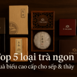 Banner Top 5 loại trà ngon – Quà biếu cao cấp biếu sếp và thầy tại Ý Trà Quán