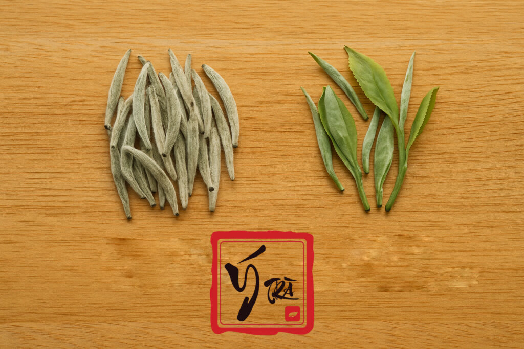 Trà Bạch Hào – Trà trắng cao cấp, thanh tao & quý phái So sánh trực quan trà Bạch Hào Ngân Châm và trà Bạch Mao Mẫu Đơn đặt cạnh nhau.