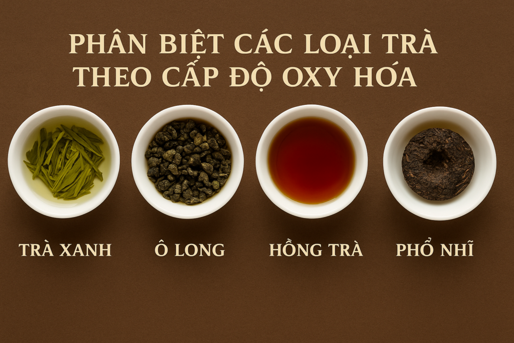 Phân biệt các loại trà theo cấp độ oxy hóa: Trà xanh – Ô Long – Hồng trà – Phổ Nhĩ Phân biệt các loại trà theo cấp độ oxy hóa: trà xanh, ô long, hồng trà, phổ nhĩ – Ý Trà Quán
