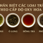 Phân biệt các loại trà theo cấp độ oxy hóa: Trà xanh – Ô Long – Hồng trà – Phổ Nhĩ Phân biệt các loại trà theo cấp độ oxy hóa: trà xanh, ô long, hồng trà, phổ nhĩ – Ý Trà Quán