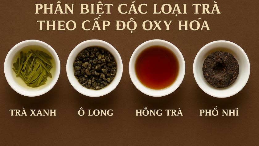 Phân biệt các loại trà theo cấp độ oxy hóa: Trà xanh – Ô Long – Hồng trà – Phổ Nhĩ Phân biệt các loại trà theo cấp độ oxy hóa: trà xanh, ô long, hồng trà, phổ nhĩ – Ý Trà Quán