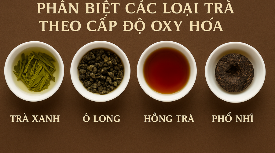 Phân biệt các loại trà theo cấp độ oxy hóa: Trà xanh – Ô Long – Hồng trà – Phổ Nhĩ Phân biệt các loại trà theo cấp độ oxy hóa: trà xanh, ô long, hồng trà, phổ nhĩ – Ý Trà Quán