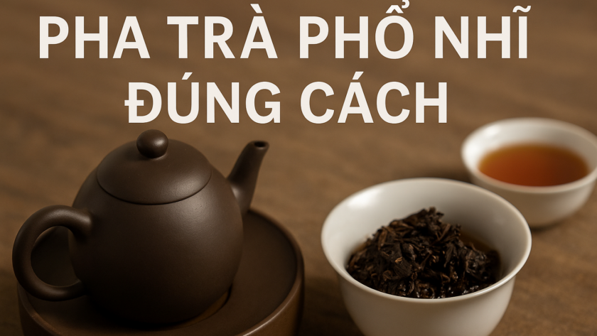 Hướng dẫn pha trà Phổ Nhĩ đúng cách