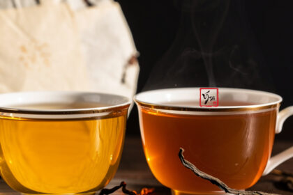Hai chén trà phổ nhĩ Lão Ban Chương và Băng Đảo đặt cạnh bánh trà cổ thụ trên bàn gỗ