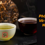 Hai chén trà phổ nhĩ sống và chín cạnh bánh trà, một nước vàng xanh một nước đỏ nâu