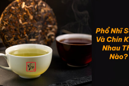 Phổ Nhĩ Sống Và Chín Khác Nhau Thế Nào? Cách Phân Biệt Sinh – Thục Hai chén trà phổ nhĩ sống và chín cạnh bánh trà, một nước vàng xanh một nước đỏ nâu