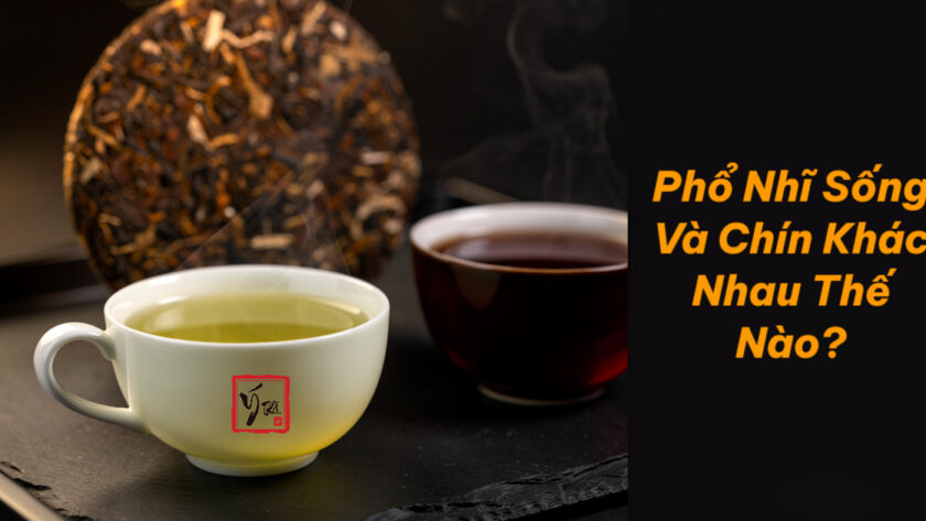 Hai chén trà phổ nhĩ sống và chín cạnh bánh trà, một nước vàng xanh một nước đỏ nâu
