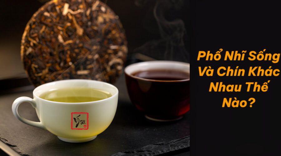 Phổ Nhĩ Sống Và Chín Khác Nhau Thế Nào? Cách Phân Biệt Sinh – Thục Hai chén trà phổ nhĩ sống và chín cạnh bánh trà, một nước vàng xanh một nước đỏ nâu